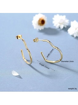 Orecchini a forma di cuore in acciaio al titanio placcato oro 18k