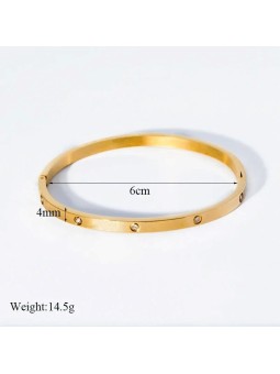 Bracciale Rigido in Acciaio al Titanio con Zirconi