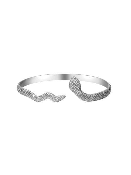 Bracciale Rigido Modello Serpente in Acciaio al Titanio