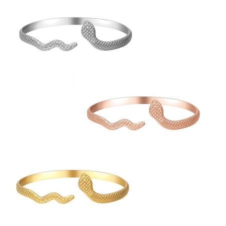 Bracciale Rigido Modello Serpente in Acciaio al Titanio